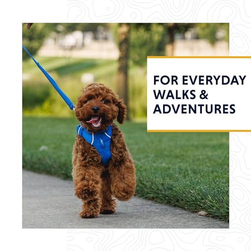 Front Range Dog Leash (Red Canyon / One Size)