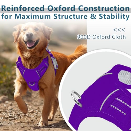 No Pull Dog Harness for Medium Sized Dogs (Medium(Chest:22.5-28") / Purple-Oxford)