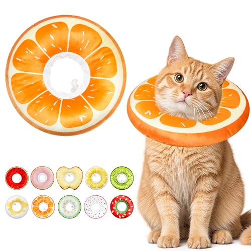 Cat Cone Collar Soft (Orange / Medium)