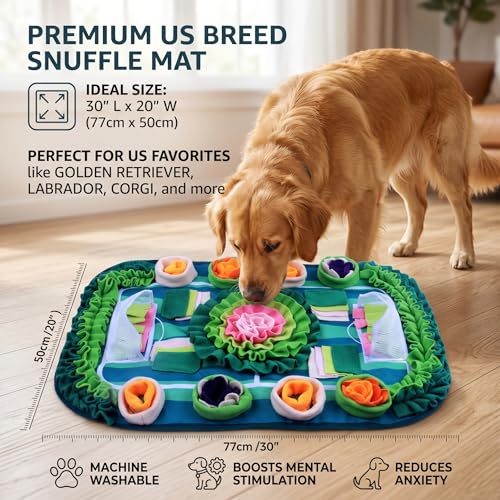 Large 30x20 Snuffle Mat for Dogs