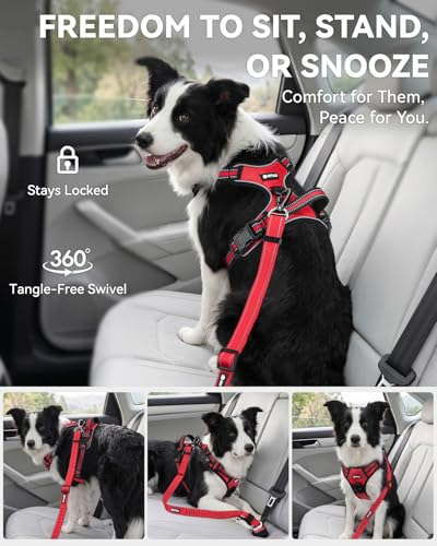 3-in-1 Bungee Dog Seat Belt for Car, Medium and Large Dogs, Red (Red / (21.6-31.5) inch)