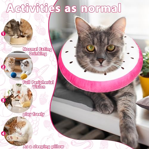 Cat Cone Collar Soft (Dragonfruit / Medium)