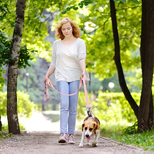 Heavy Duty Dog Leash for Medium Large Dogs (5 Feet (Pack of 1) / Pink)