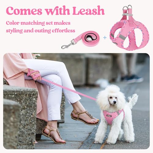 Dog Harness Small Sized and Leash Set (Pink & Plaid Trim / Xs (chest: 13.3 - 15.5"))
