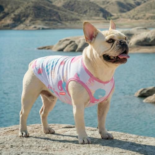 2Pack Dog Shirt for Small Dogs Soft Breathable T (Large (13-19lbs) / 3# Sailing Boat+Ice Cream)