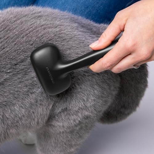 Slicker Brush for Small Pets (Small)