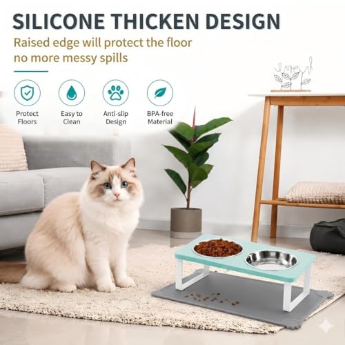 Upgraded Elevated Cat Bowls with Food Mat