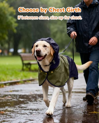Waterproof Dog Raincoat with Hood (X-Large / Blue-Green)