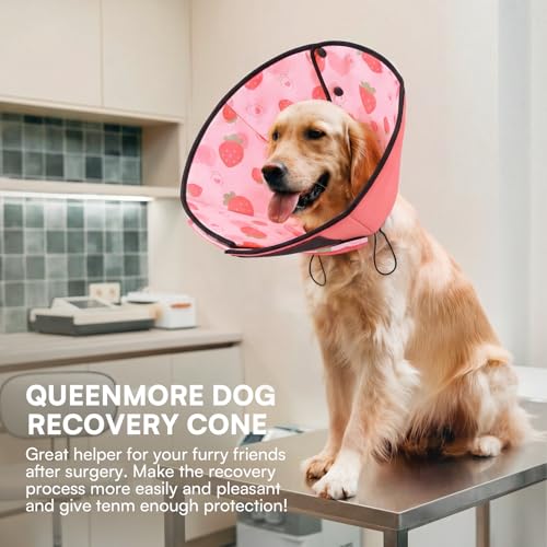 Dog Cones for Large Dogs (L / Strawberry)