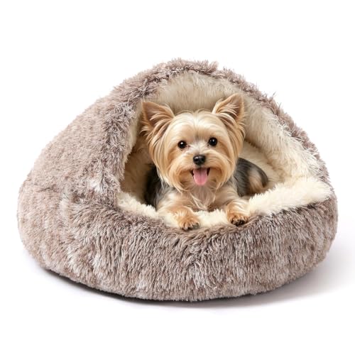 Hooded Donut Bed (Gradual brown / X-Small 15.7'')