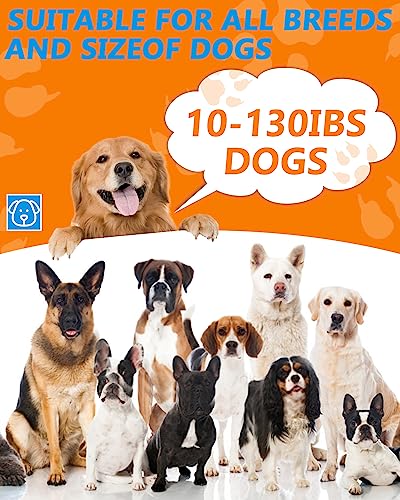 Dog Barking Control Devices (Black and Grey)