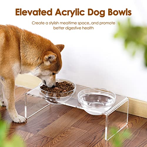 Acrylic Elevated Dog Cat Bowls Pet Feeder Double Bowl Raised Stand Comes with 2 Removable Glass Bowls and 2 Stainless Steel Bowls.Perfect for Medium Dogs (Medium: 5.5'' Height, 34 oz Glass Bowl)