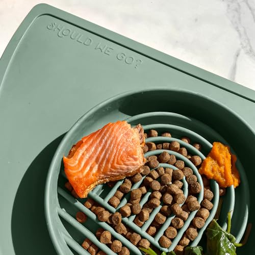 Slow Feeder Dog Bowl (Spruce - Rainbow Design / Medium (7.5” Across x 1.5” Tall))