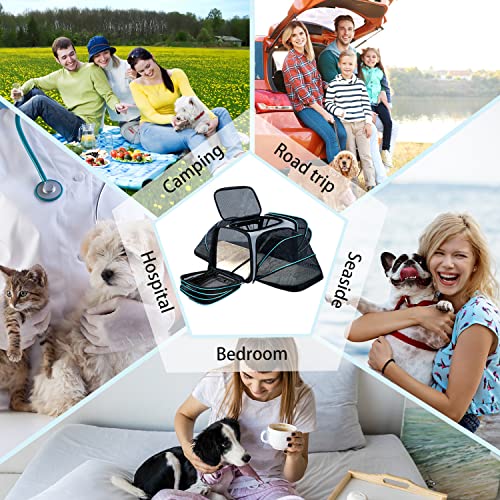 Cat Dog Airline Approved Expandable Pet Carrier for Small Pets (43.0"L x 32.0"W x 12.0"H)