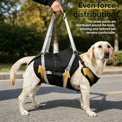Waterproof Dog Lift Harness for Large Dogs 66 (XXL)