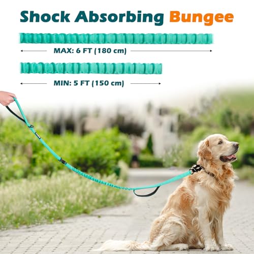 Heavy Duty Tactical Dog Leash (Turquoise)