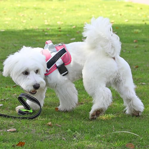 Dog Harness No (X-Large (Pack of 1) / Fuchsia)