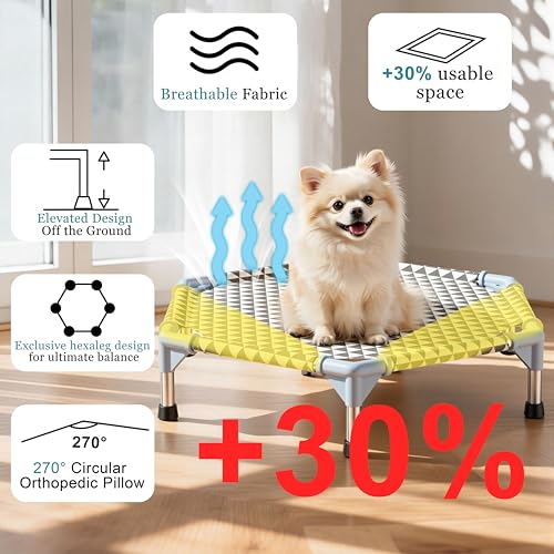 Elevated Outdoor Dog Bed (6 sided Small)