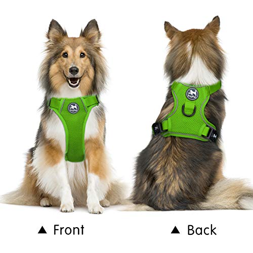 Mesh Dog Harness (S / Grass Green)