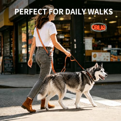 Hands Free Dog Leash by Kazazoo (OrangeM / M)