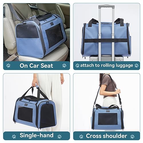 Dog Carrier for Small Dogs (Large / Blue)