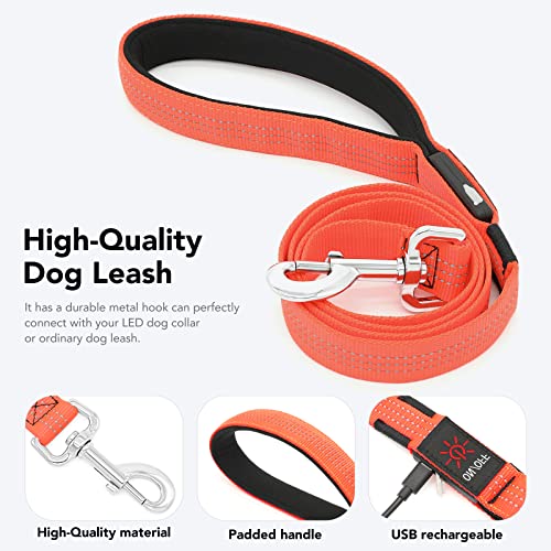 LED Light Up Dog Leash (Orange / 4FT)
