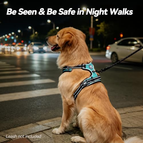 No Pull Dog Harness Small with Front Clip & Neck Release Buckle (XS / Mint Blue)