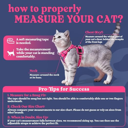 Cat Harness and Leash Set (S / Coconut Fuchsia)
