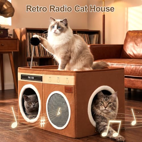 Retro Radio Cat House