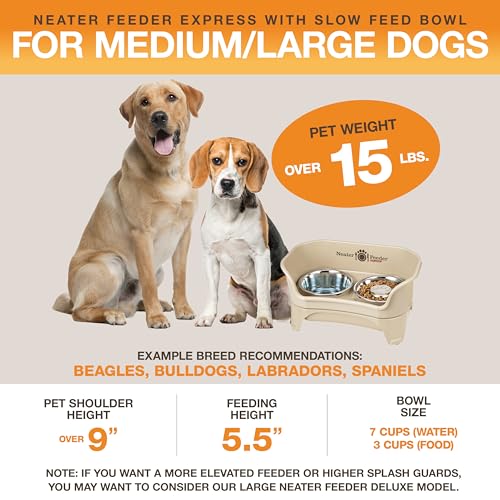 Express Model w (Medium to Large w/ Metal Slow Feed Bowl / Almond)