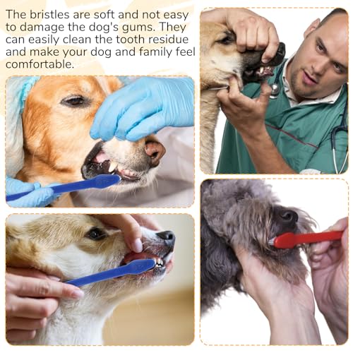 200 Pcs Dog Toothbrush Dual Headed Dental Brushes Bulk Dog Tooth Brushing Kit Long Handle Soft Bristles Pet Tooth Brush for Large and Small Dogs