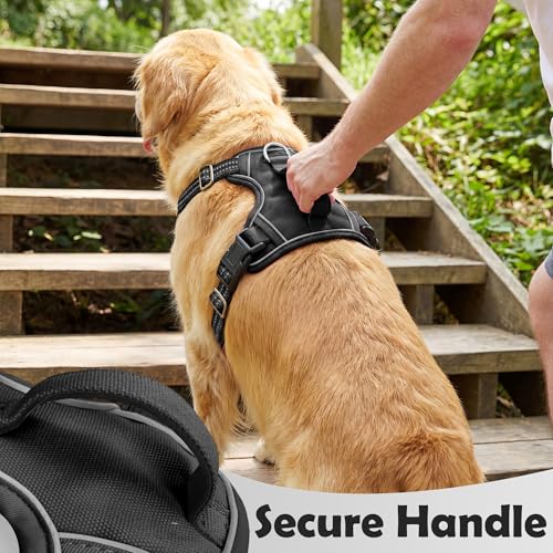 Dog Harness Small Sized Dog (Black / Small)