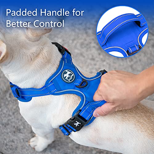 No Pull Dog Harness (XL / Royal Blue)