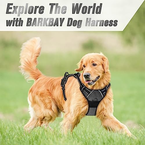 Dog Harness No Pull for Large Dogs Front Back Clips (Large(Chest:24.5-32.5") / Dark Grey)