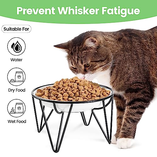 Ceramic Elevated Cat Bowls (raised dish,1 pack / fishbone)