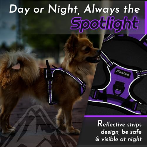 Dog Harness for Small Dogs (X-Small / Purple)