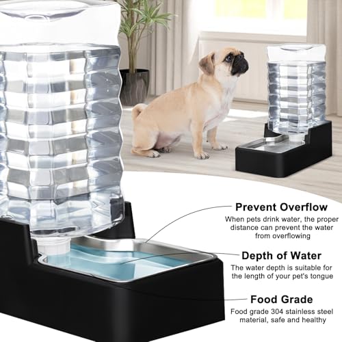 2.64Gallon Automatic Dog Water Dispenser for Dog (Black without Filter / 10L)