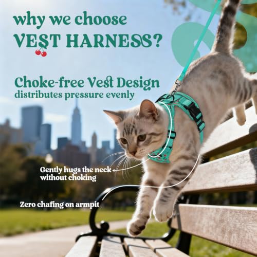 Cat Harness and Leash Set (Xxs / Cherry Grove)