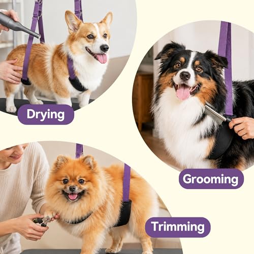 H Shape Dog Grooming Arm for Table