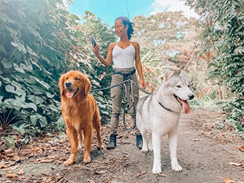 Heavy Duty Hands Free Bungee Dog Leash