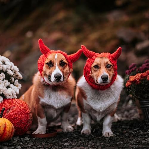 Red Devil Dog Costume (Devil / Medium)