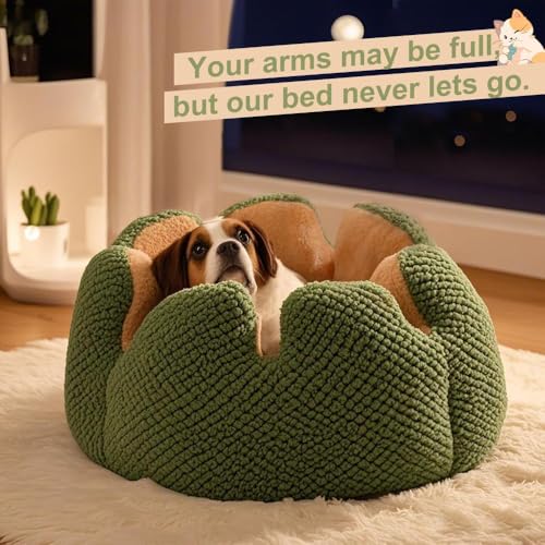 Cute Cat Beds Kitten Beds (Medium / Green)