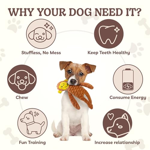 No Stuffing Dog Toys 5 Pack (For Medium and Large Breed / 1 Pack - Monkey)