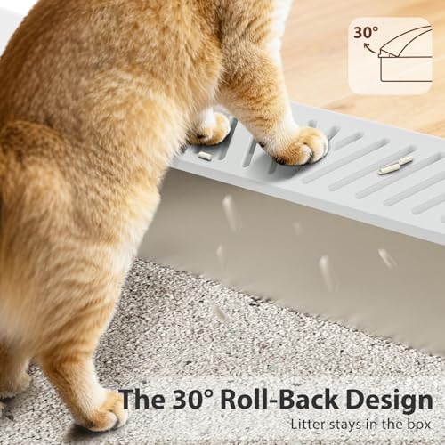 Stainless Steel Litter Box (Silver Grey / Small)