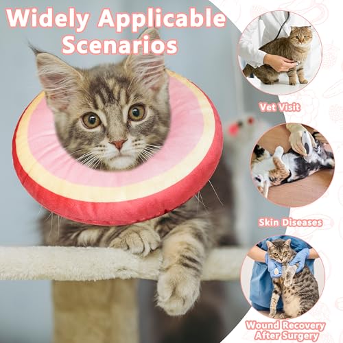 Cat Cone Collar Soft (Peach / Large)