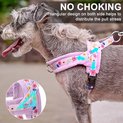 No Pull Small Dog Harness and Leash Set (Purple_Velvet / M: Chest 21"-26.7")