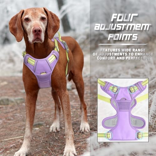 Dog Harness No Pull for Medium Sized Dog Front Back Clips (Medium(Chest:22.5-28") / Violet Purple & Sunlight)