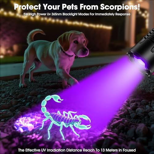 UV Flashlight (Black)