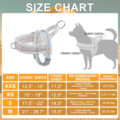 Small Dog Harness and Leash Set (Dark pink / XS: Chest 15"-18")