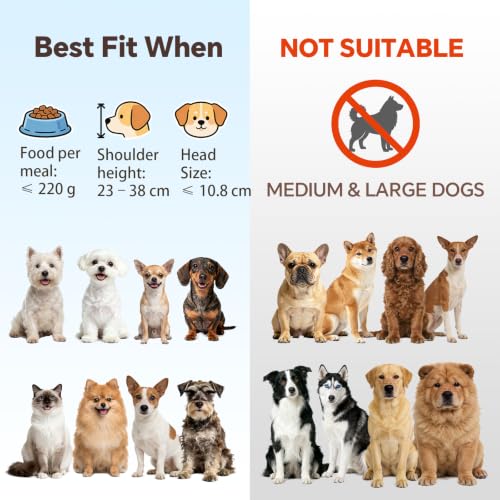 Elevated Dog Bowls for Small Dogs (Small / glass×2)